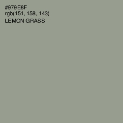 #979E8F - Lemon Grass Color Image